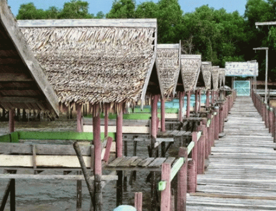 Pantai Tanjung Belandang