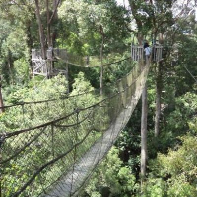 Bukit Bangkirai