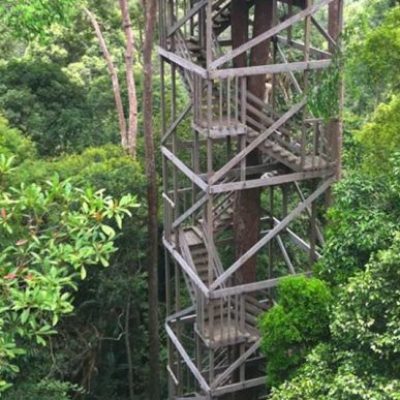 Bukit Bangkirai