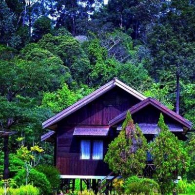 Bukit Bangkirai