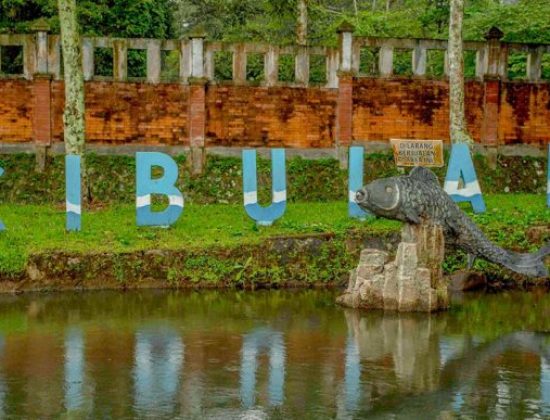 Cibulan