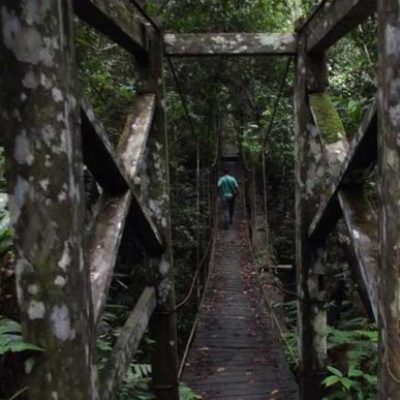 Taman Nasional Kutai