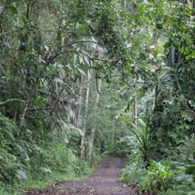 Taman Nasional Lore Lindu