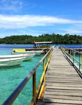 Pulau Lutungan