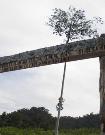 Air Terjun Gunung Rian