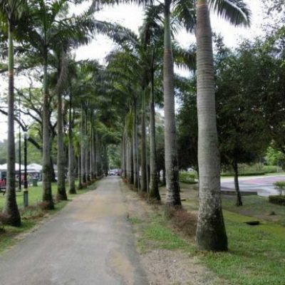 Taman Mini dan Taman Rimba Jambi