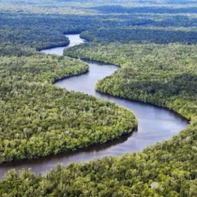 Sebangau National Park