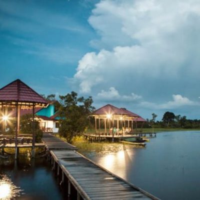 Sebangau National Park