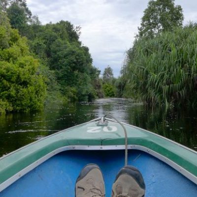 Sebangau National Park
