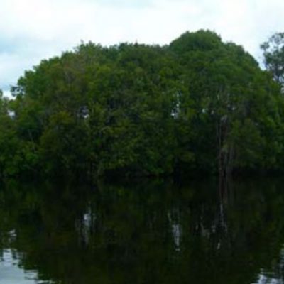 Danau Tahai