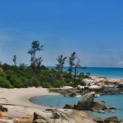 Pulau Tikus