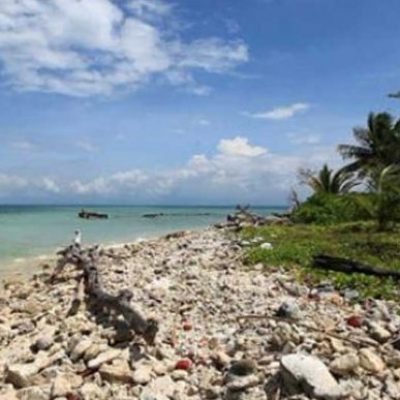 Pulau Tikus
