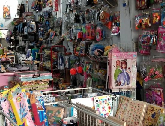 Taj Mahal Toys & Gift