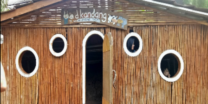 D’Kandang Amazing Farm
