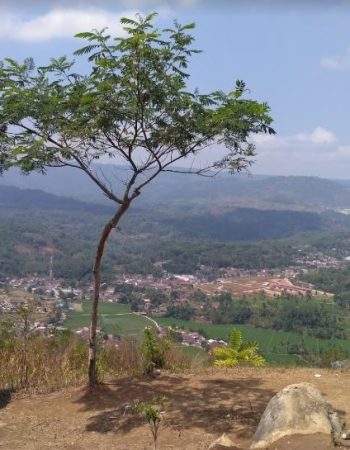 Karang Para