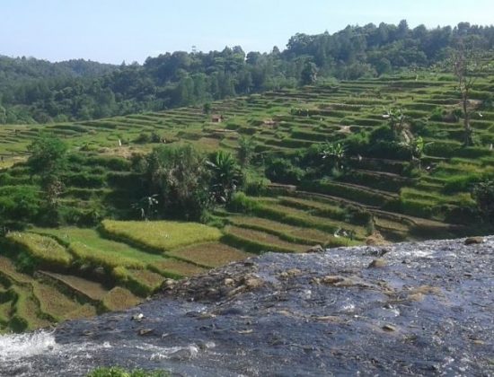 Curug Cirajeg Purabaya