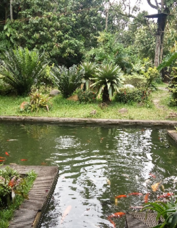 Godongijo