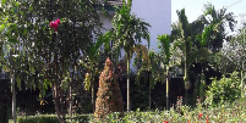 SURAU BAITUL IBADAH PONDOK PETIR